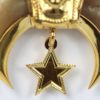 Egyptian Pharaoh Star Of The East With Horn & 14K Chain - close up star
