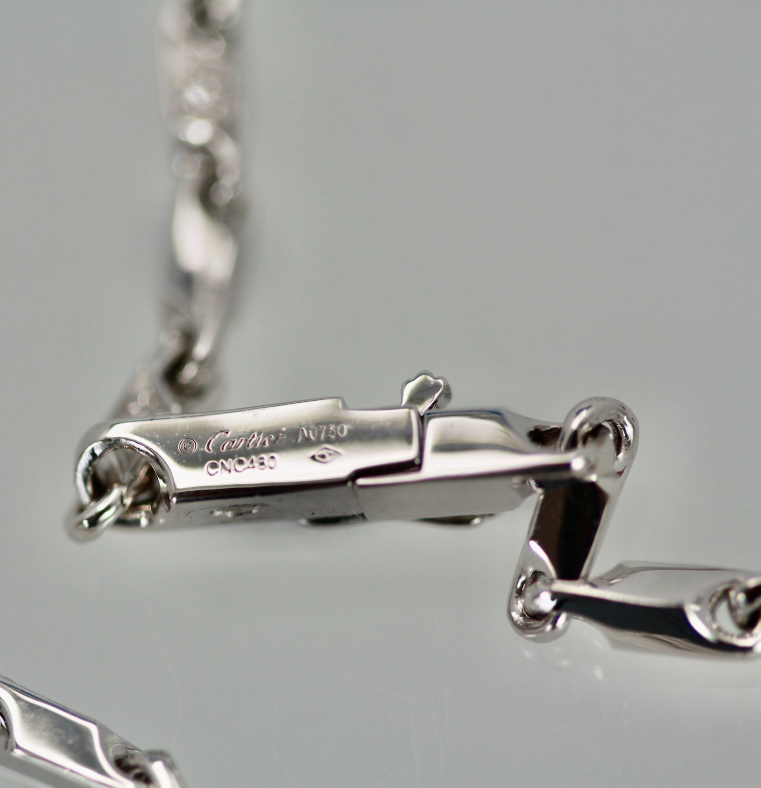 Cartier Les Oiseaux Liberes Ruby Diamond Necklace – engraving