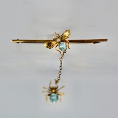 Victorian Spider and the Fly Brooch